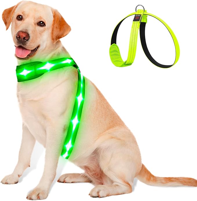 LED Light Up Dog Vest Harness Rechargeable, Soft Padded, Adjustable & Reflective Lighted Dog Harness Waterproof, Glow Dark Dog Light Harness for Camping Night Safety Walking, Medium Green