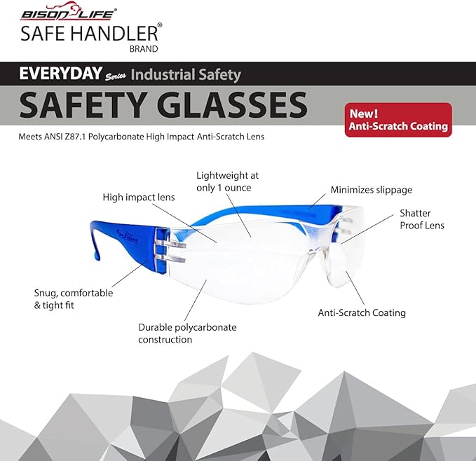 BISON LIFE Clear Lens Color Temple Safety Glasses | One Size, Adult, Youth, Clear Protective Polycarbonate Lens Color Temple, Blue, 24 PAIRS