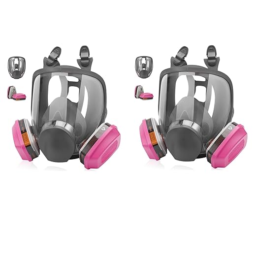 2 Pack Full Face Respirator Masks - Reusable 6800 Painting Respirator Mask with 60925 Filters, Gas Masks Survival Nuclear and Chemical,Ideal for Paint, Dust, Spraying, Epoxy Resin, Polishing, Sanding