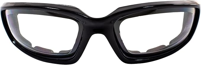 Birdz Eyewear Oriole Motorcycle Padded Glasses Black Frame with Clear Lens Anti Fog Foam Padding on the Entire Inside of the Glasses