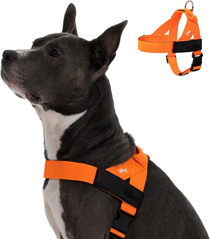 DF Co. Dog Harness | Chafe Resistant Webbing, Adjustable Neck & Chest, and Heavy Duty D-Ring | Sturdy, Comfortable, Easy to Use | Hi-Vis Orange, Size L