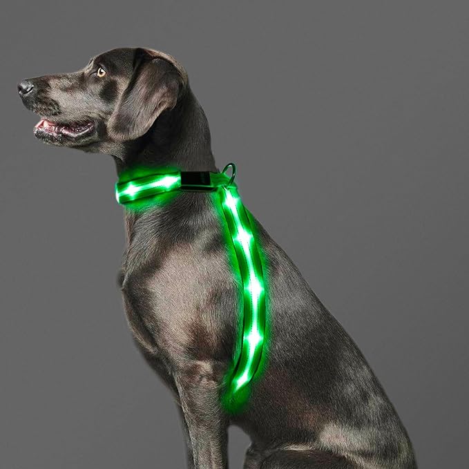 Light Up Dog Vest Harness Rechargeable, Adjustable & Reflective LED Lighted Dog Harness, Glow Dark Dog Light Harness for Night Safety Walking, Green Extra Large