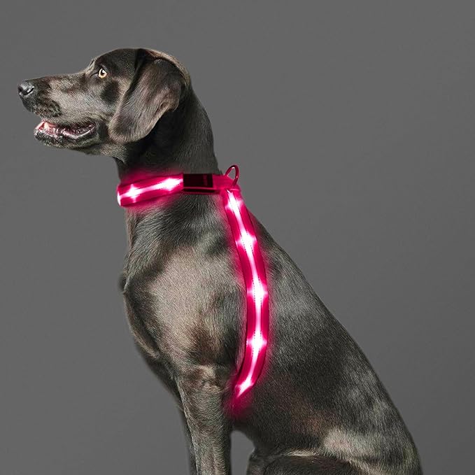 LED Light Up Dog Vest Harness Rechargeable, Soft Padded, Adjustable & Reflective, Waterproof, Glow Dark Dog Light Harness for Camping Night Safety Walking, Large Pink