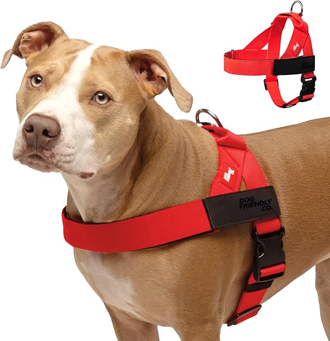 DF Co. Dog Harness | Chafe Resistant Webbing, Adjustable Neck & Chest, and Heavy Duty D-Ring | Sturdy, Comfortable, Easy to Use | Red, Size L