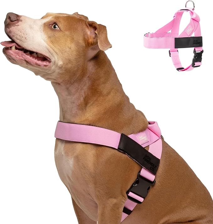 DF Co. Dog Harness | Chafe Resistant Webbing, Adjustable Neck & Chest, and Heavy Duty D-Ring | Sturdy, Comfortable, Easy to Use | Pink, Size XXS