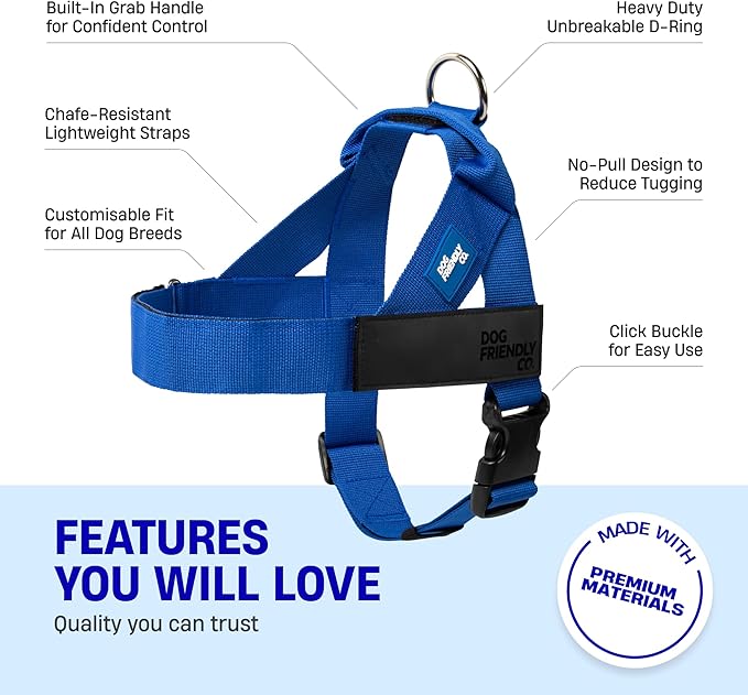 DF Co. Dog Harness | Chafe Resistant Webbing, Adjustable Neck & Chest, and Heavy Duty D-Ring | Sturdy, Comfortable, Easy to Use | Classic Blue, Size XXS