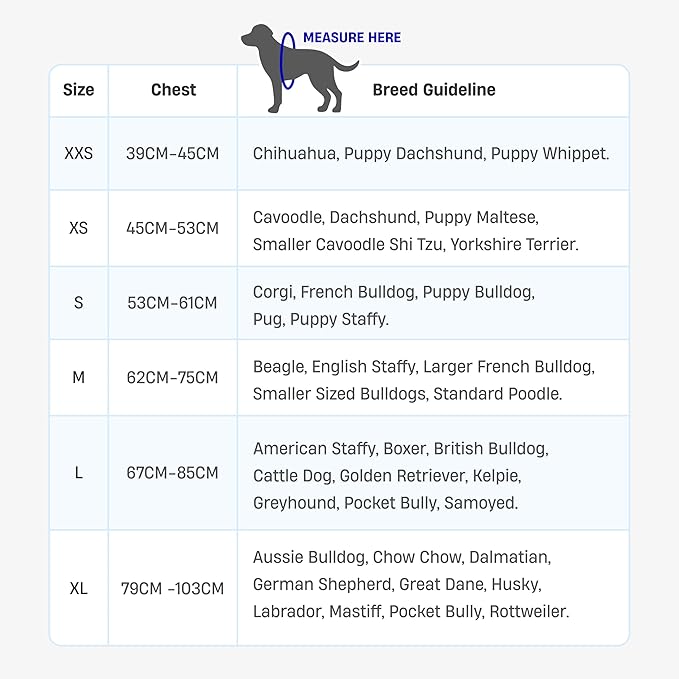 DF Co. Dog Harness | Chafe Resistant Webbing, Adjustable Neck & Chest, and Heavy Duty D-Ring | Sturdy, Comfortable, Easy to Use | Classic Blue, Size XL