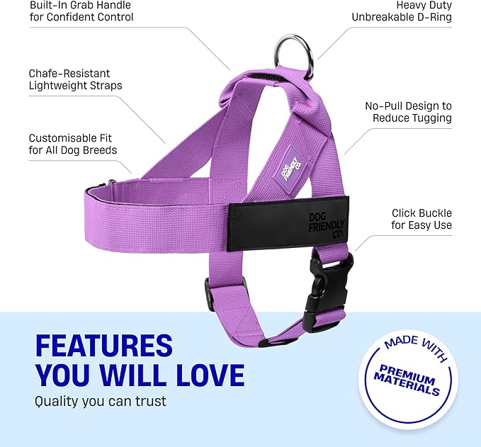 DF Co. Dog Harness | Chafe Resistant Webbing, Adjustable Neck & Chest, and Heavy Duty D-Ring | Sturdy, Comfortable, Easy to Use | Purple, Size XS