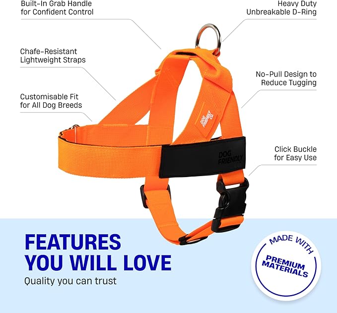 DF Co. Dog Harness | Chafe Resistant Webbing, Adjustable Neck & Chest, and Heavy Duty D-Ring | Sturdy, Comfortable, Easy to Use | Hi-Vis Orange, Size XXS