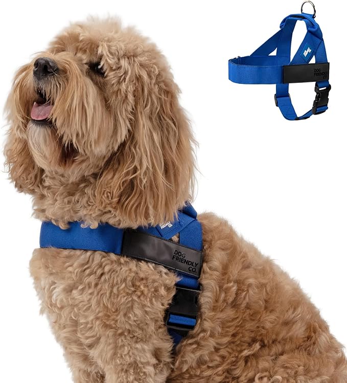 DF Co. Dog Harness | Chafe Resistant Webbing, Adjustable Neck & Chest, and Heavy Duty D-Ring | Sturdy, Comfortable, Easy to Use | Classic Blue, Size S