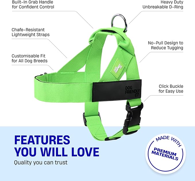 DF Co. Dog Harness | Chafe Resistant Webbing, Adjustable Neck & Chest, and Heavy Duty D-Ring | Sturdy, Comfortable, Easy to Use | Neon Green, Size XL