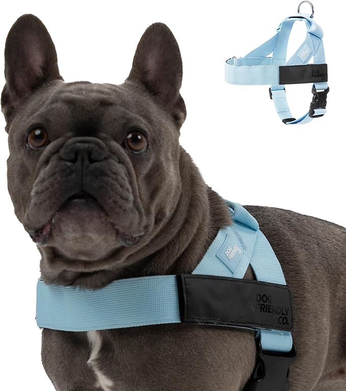 DF Co. Dog Harness | Chafe Resistant Webbing, Adjustable Neck & Chest, and Heavy Duty D-Ring | Sturdy, Comfortable, Easy to Use | Sky Blue, Size S