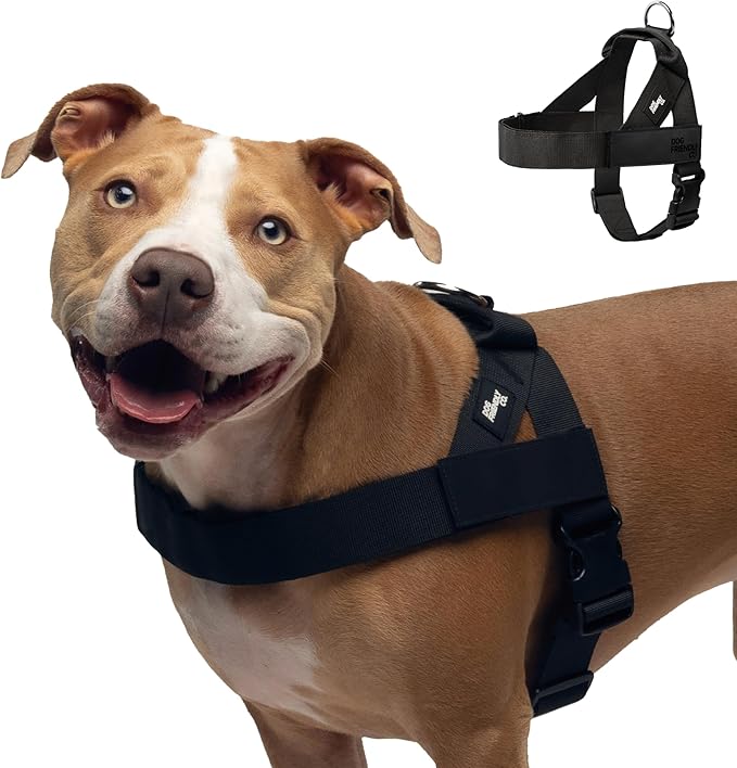 DF Co. Dog Harness | Chafe Resistant Webbing, Adjustable Neck & Chest, and Heavy Duty D-Ring | Sturdy, Comfortable, Easy to Use | Black, Size XXS