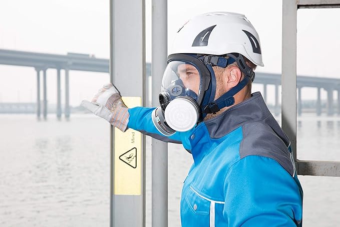 LDY-3 P-A-1 Filter Cartridge Against Organic Vapors and Dust for Respiratory Protection,Screw Type,4 Pcs