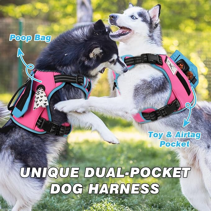WINGOIN Tactical Dog Harness for Small Dogs, No Pull Harness with Handle Pockets Poop Bag, Reflective Dog Vest, Military Service Heavy Duty Big Dog Harness for Walking Hiking Training (Pink Blue, S)