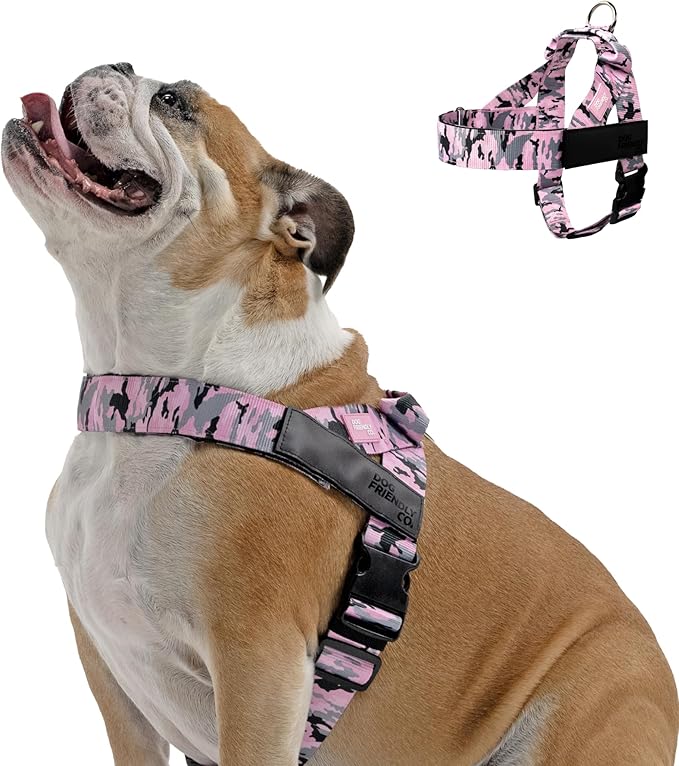 DF Co. Dog Harness | Chafe Resistant Webbing, Adjustable Neck & Chest, and Heavy Duty D-Ring | Sturdy, Comfortable, Easy to Use | Pink Camo, Size XL