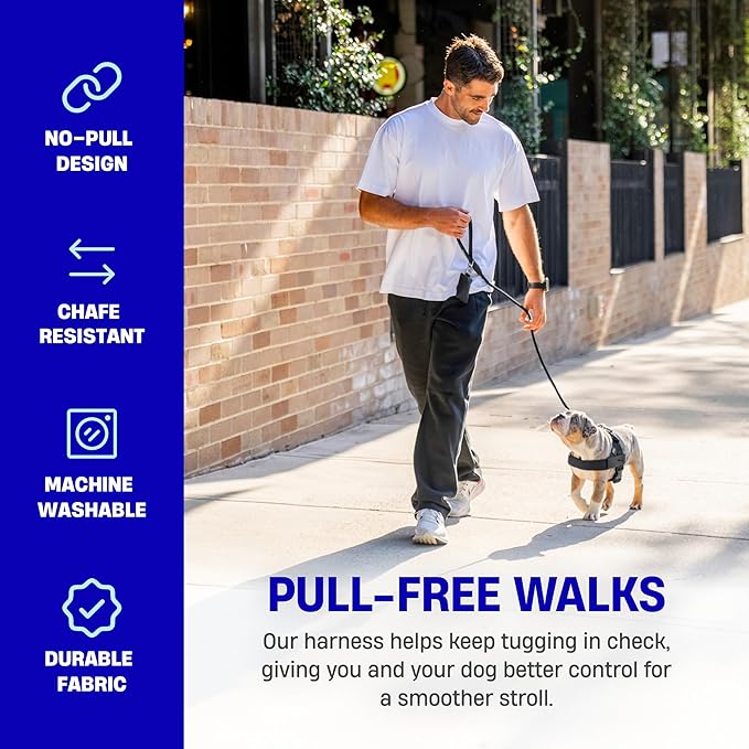 DF Co. Dog Harness | Chafe Resistant Webbing, Adjustable Neck & Chest, and Heavy Duty D-Ring | Sturdy, Comfortable, Easy to Use | Purple, Size L