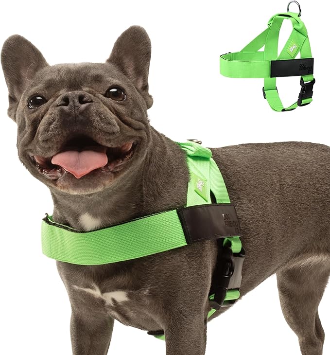 DF Co. Dog Harness | Chafe Resistant Webbing, Adjustable Neck & Chest, and Heavy Duty D-Ring | Sturdy, Comfortable, Easy to Use | Neon Green, Size XS