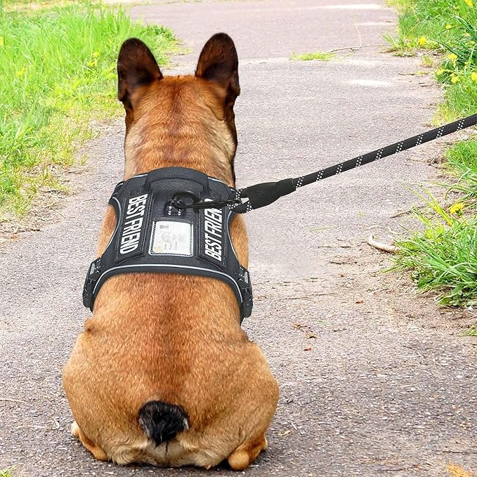 Heavy Duty Tactical Dog Harness for Small Dogs, No Pull Adjustable Pet Harness Reflective Service Training Easy Control Pet Vest Military K9 Working Dog Harnesses- Small, Black